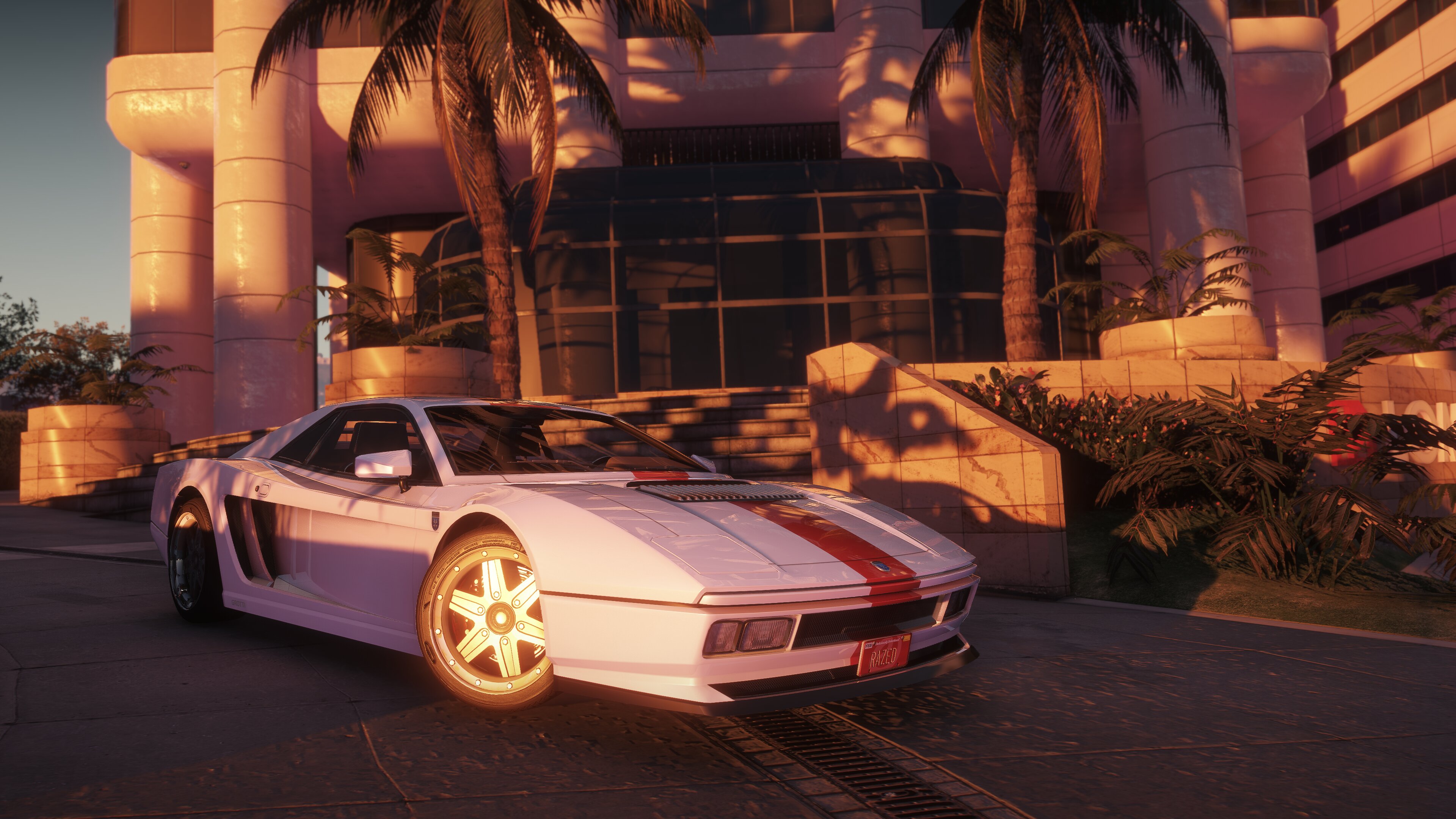 Cheetah Classic