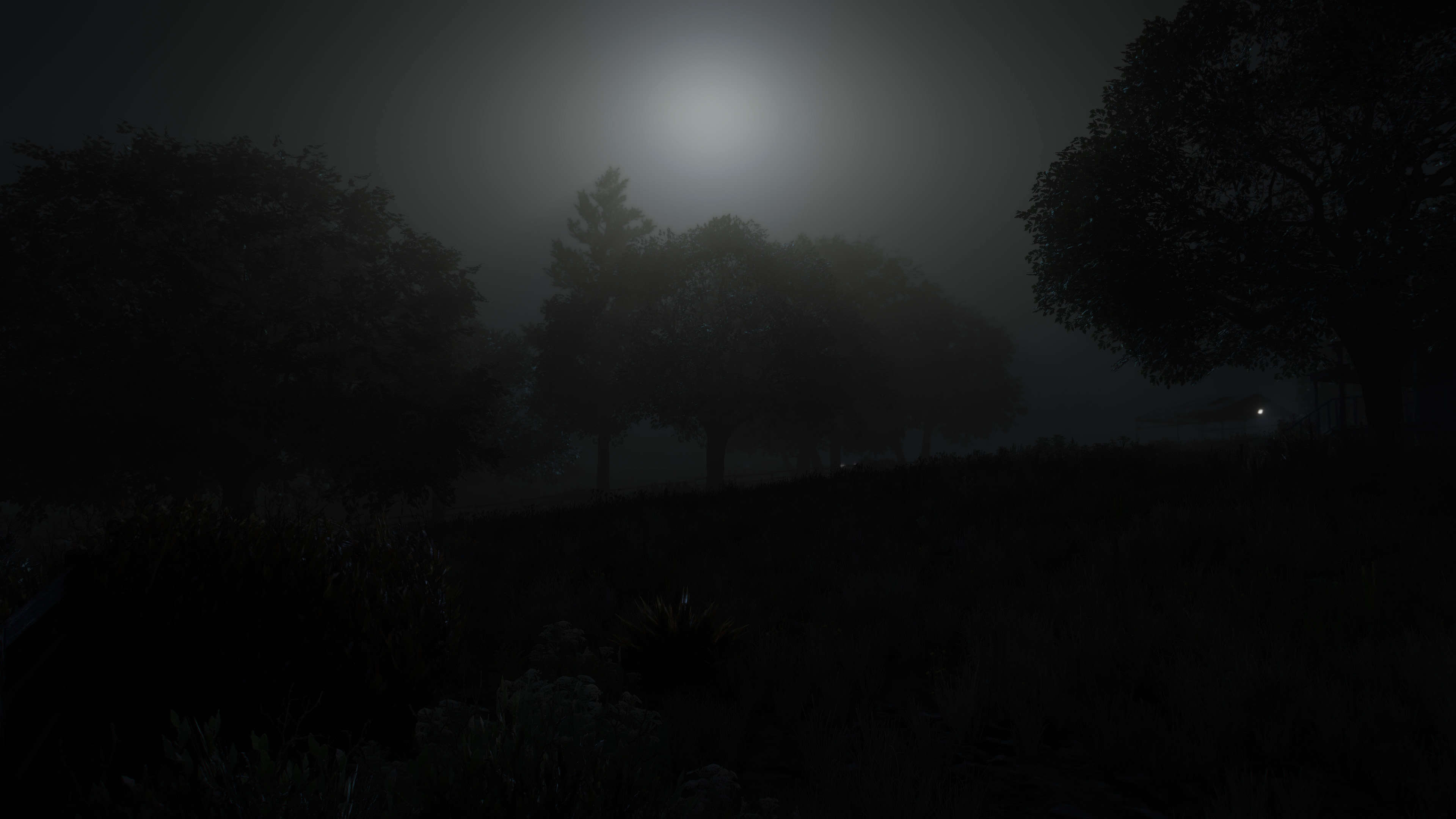 Foggy Night