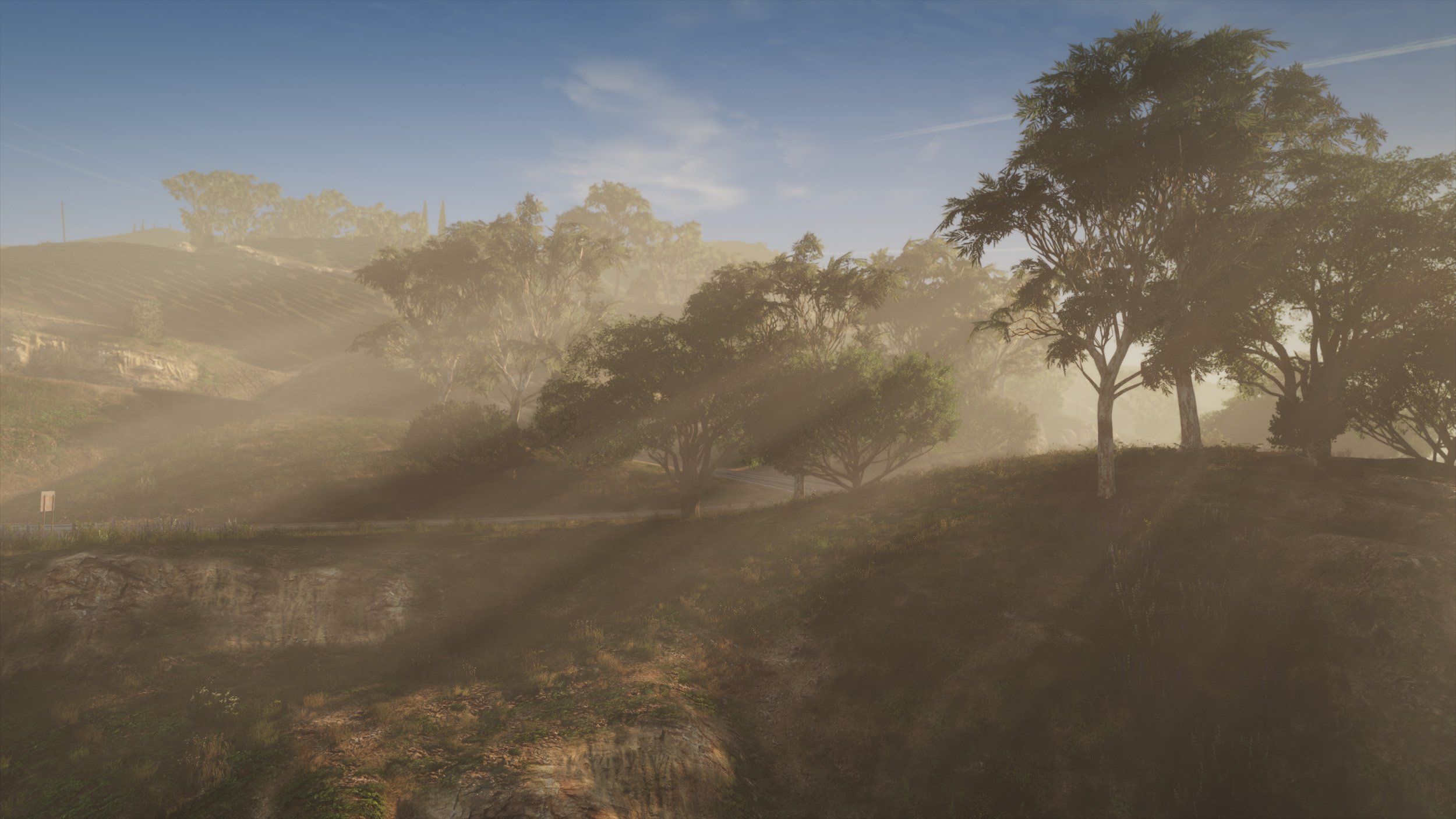 Foggy Late Afternoon