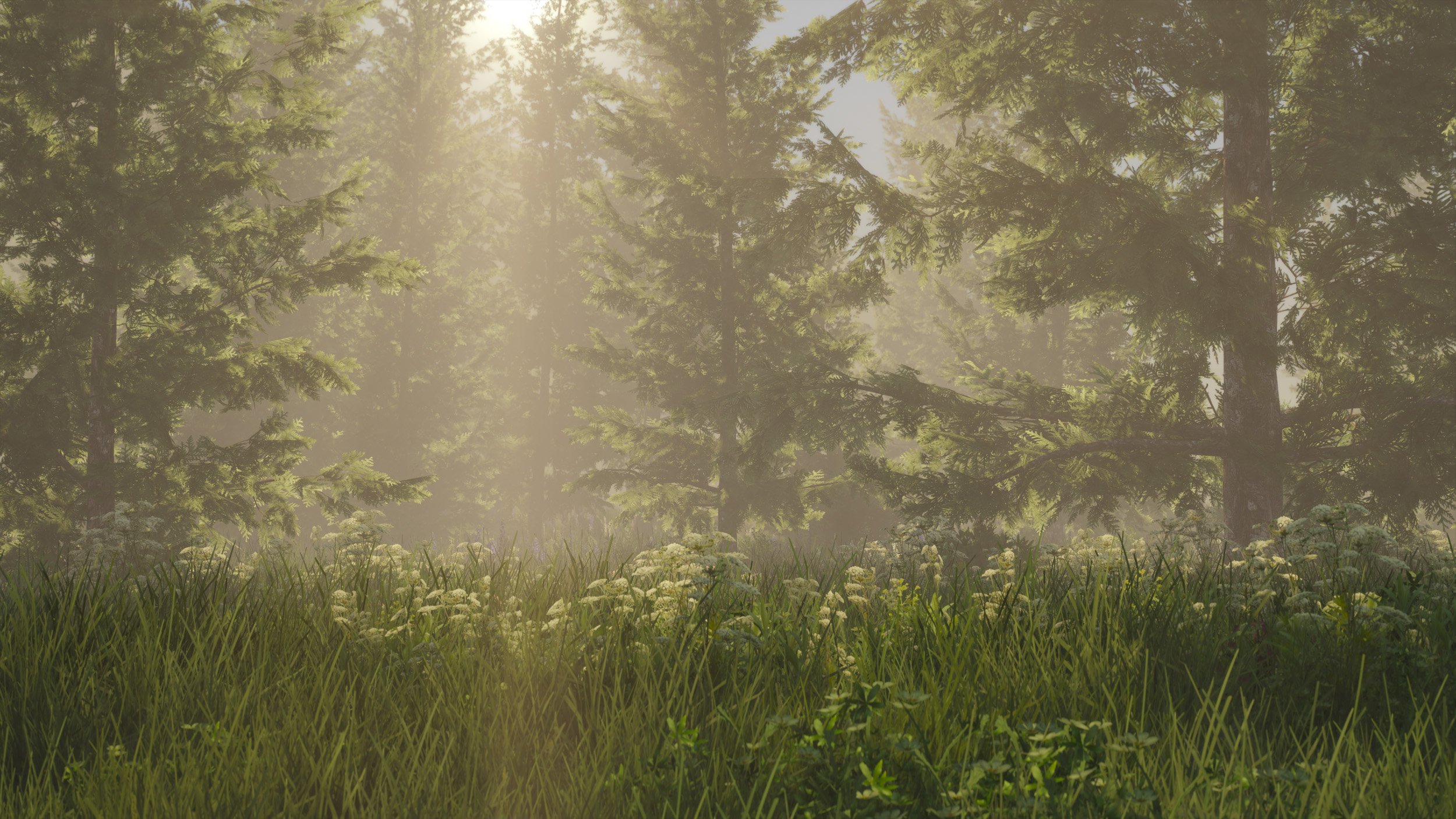 Foggy