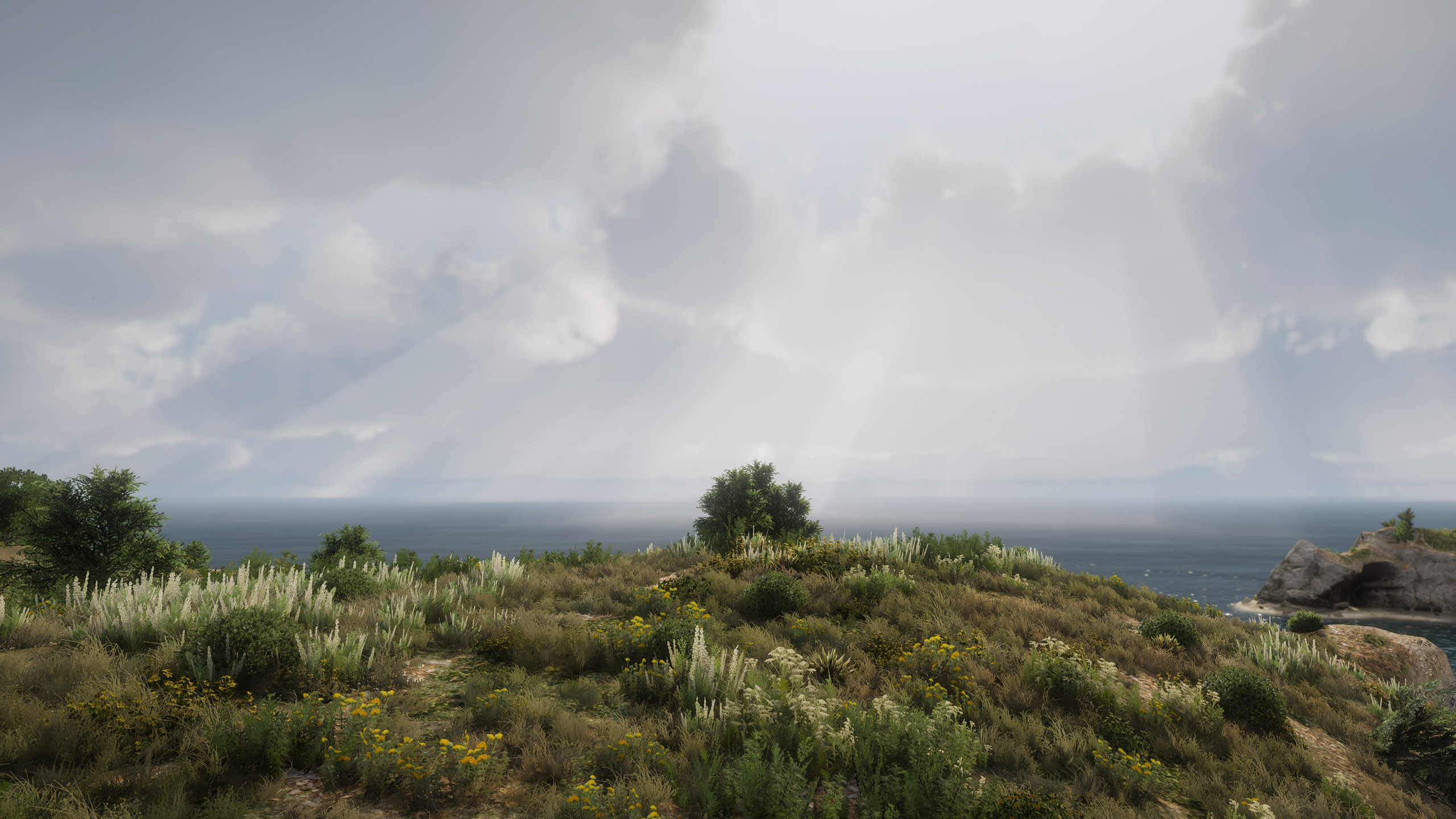 Overcast