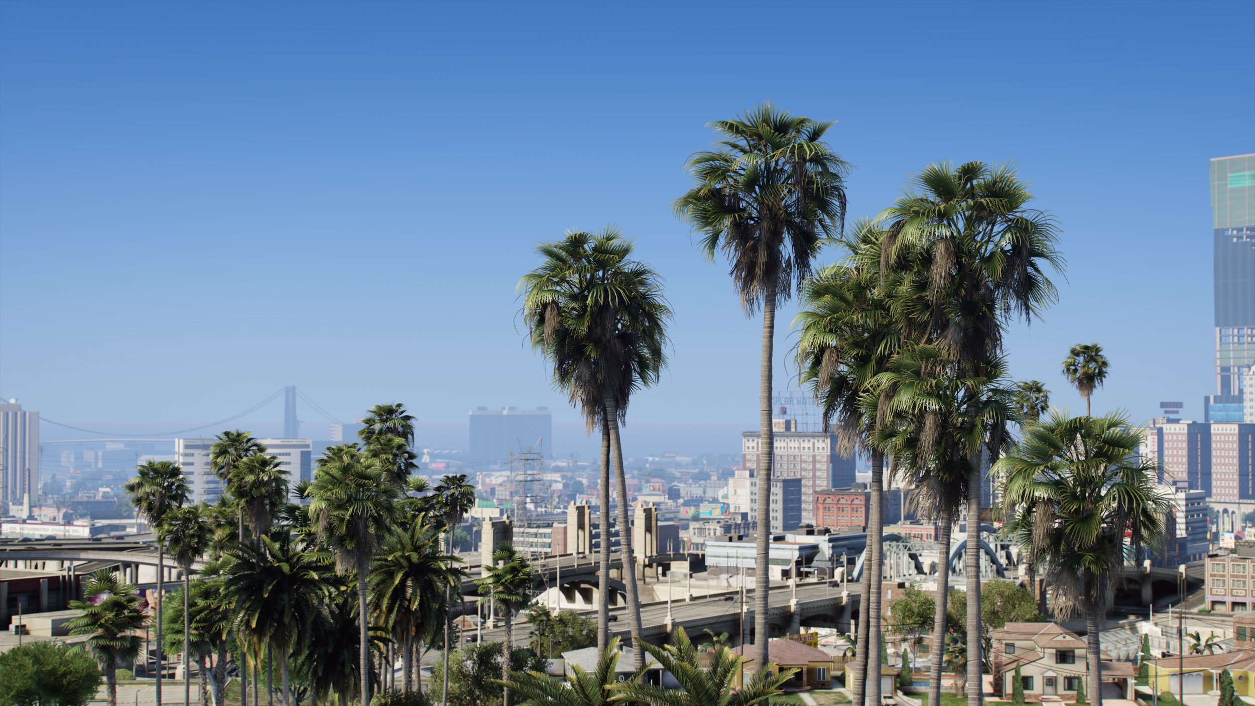 Palms