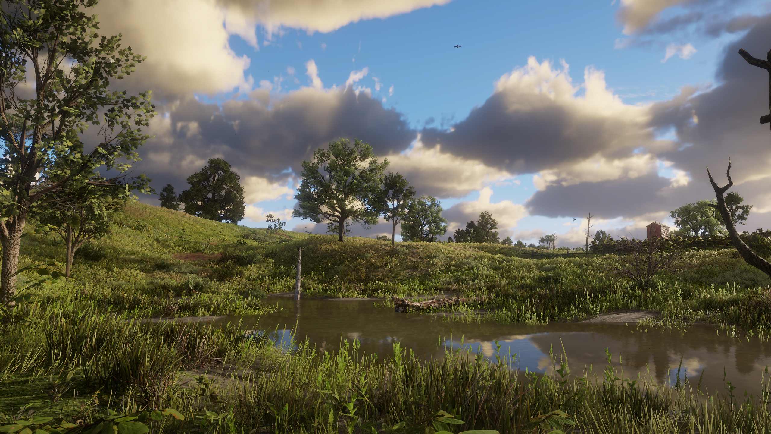 Cloudy Afternoon Pond