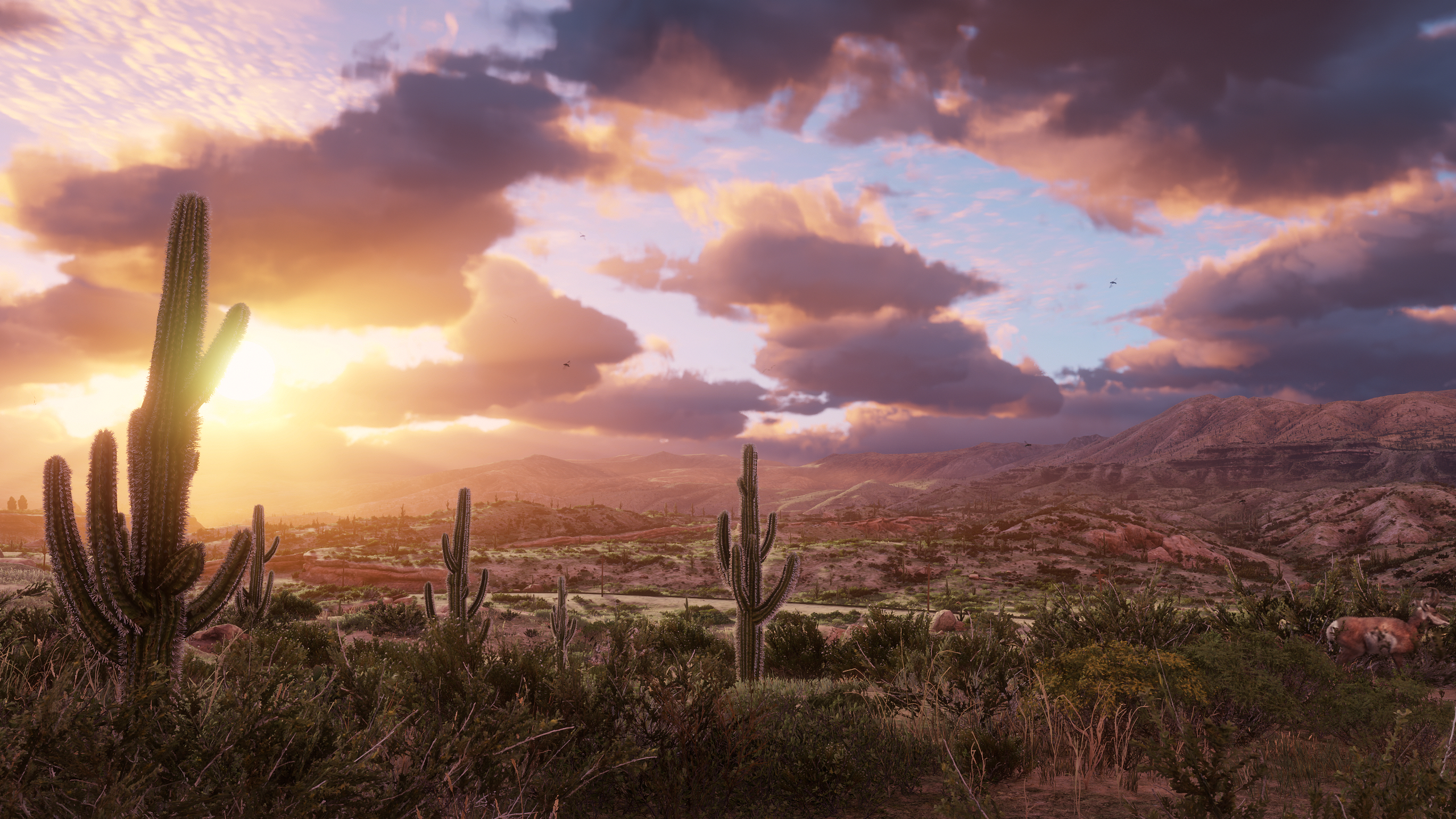 Cloudy Desert