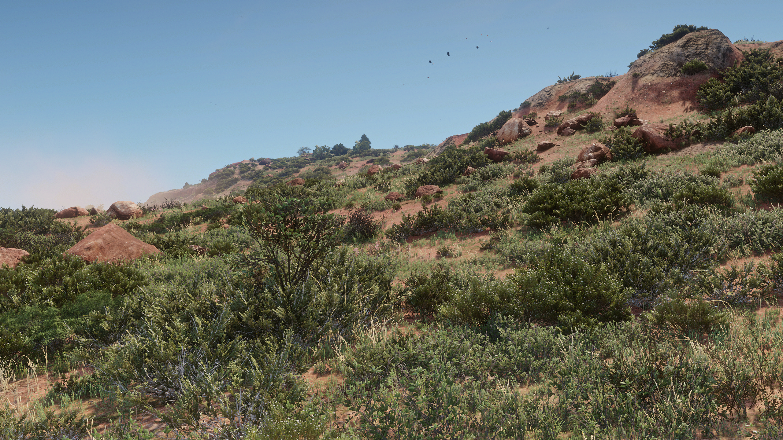 Desert Bushes