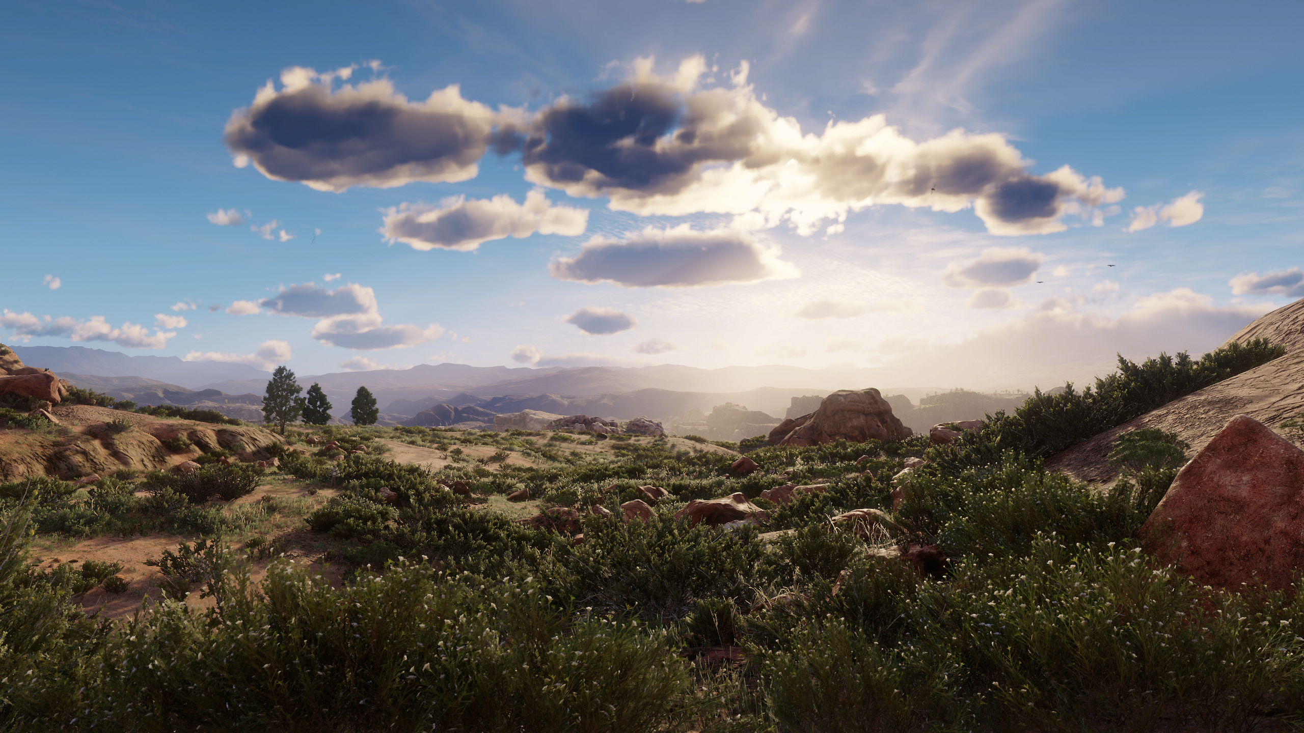 Desert Clouds