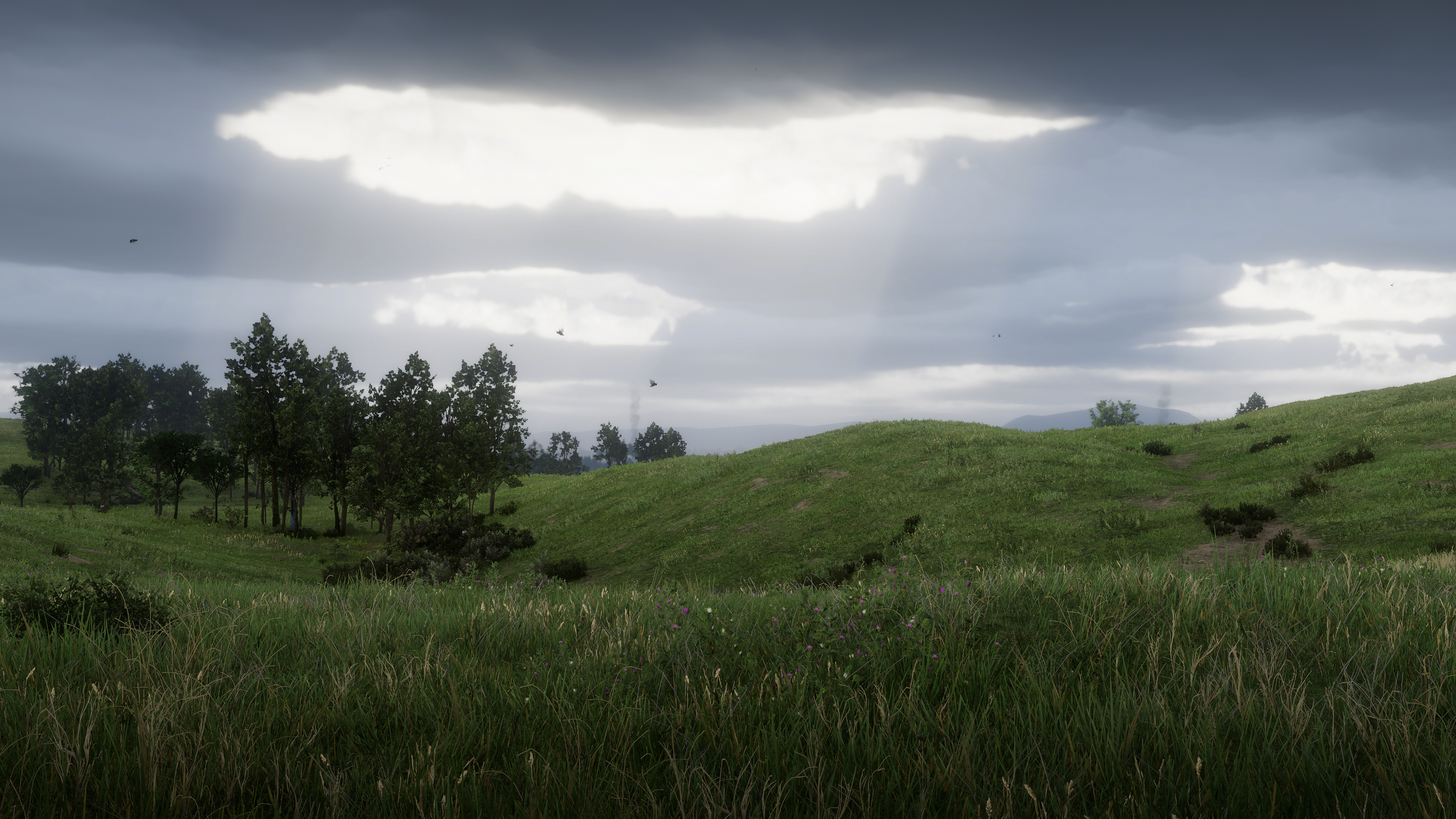 Overcast Field