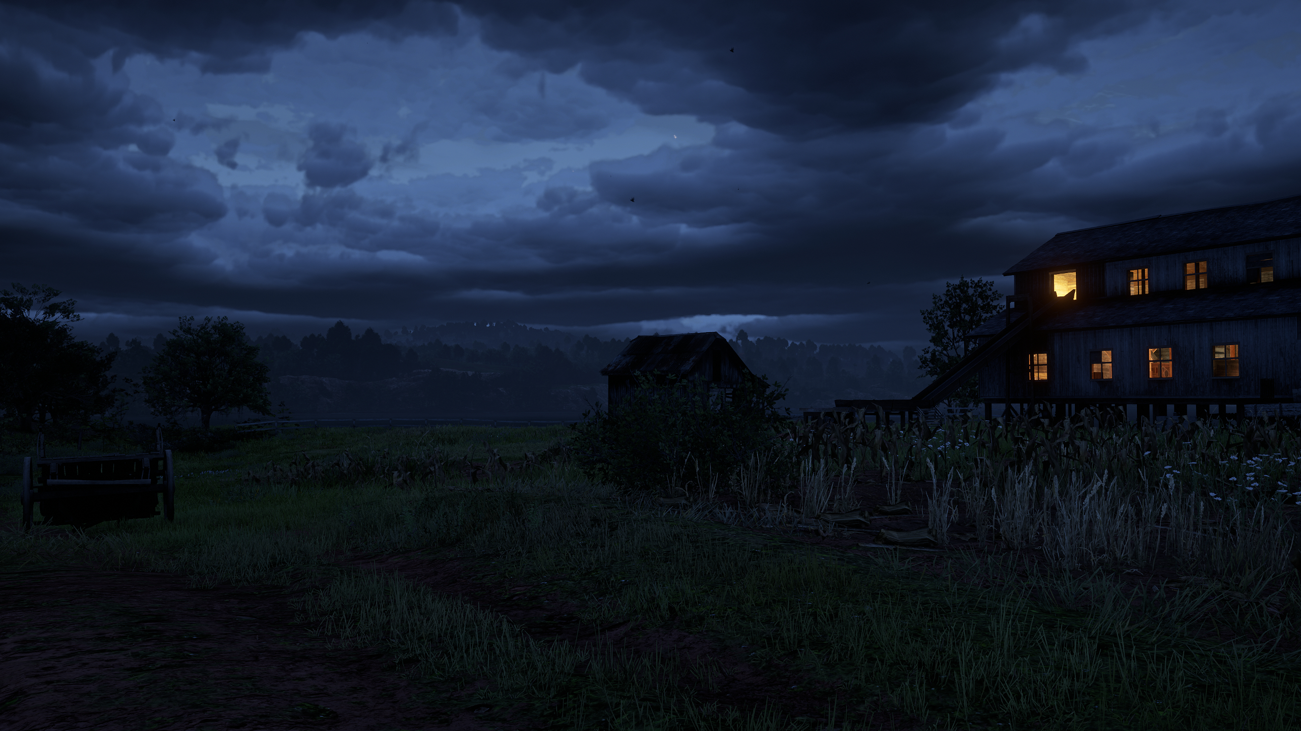 Overcast Night