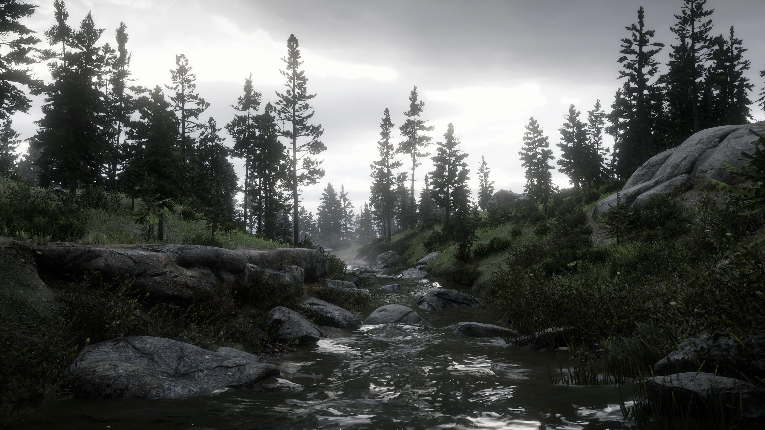 Overcast River