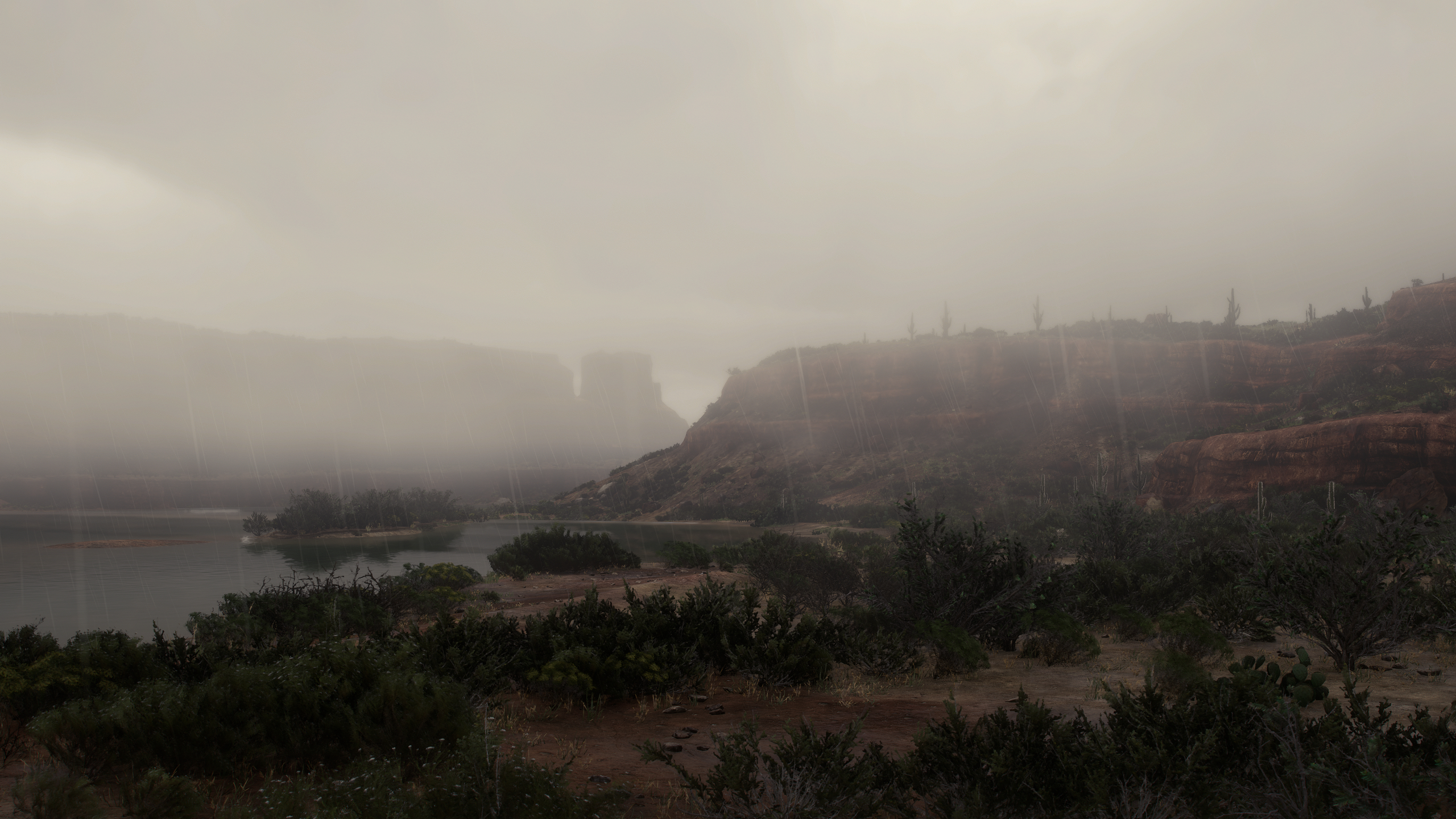 Rain Desert