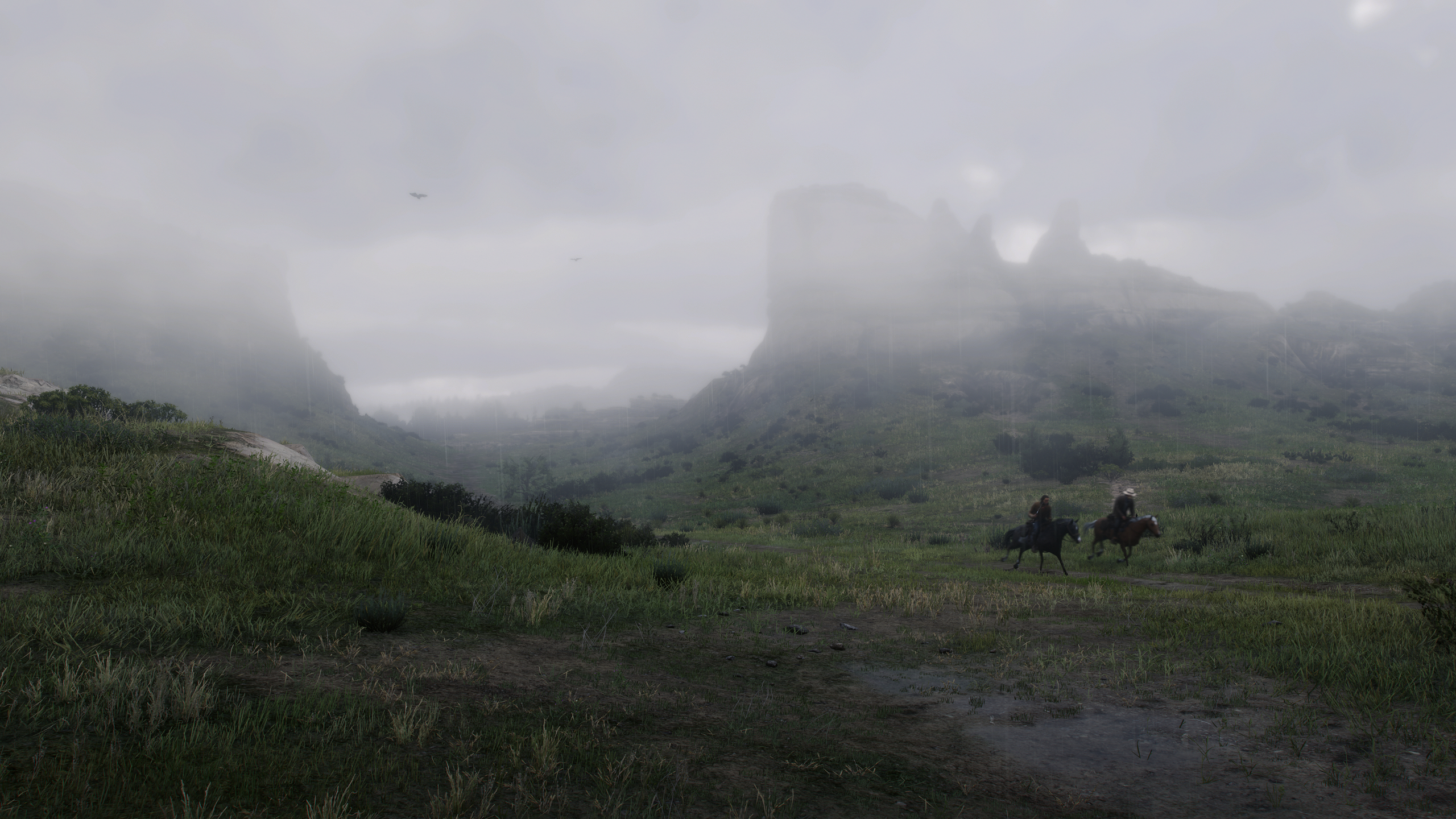 Rain Heartlands